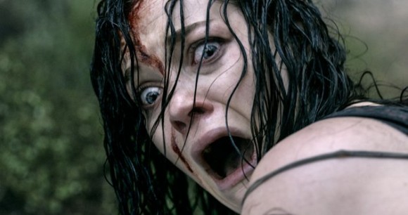 Evil Dead - 2013 remake