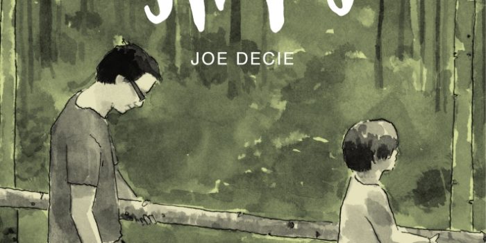 Collecting Sticks - Joe Decie