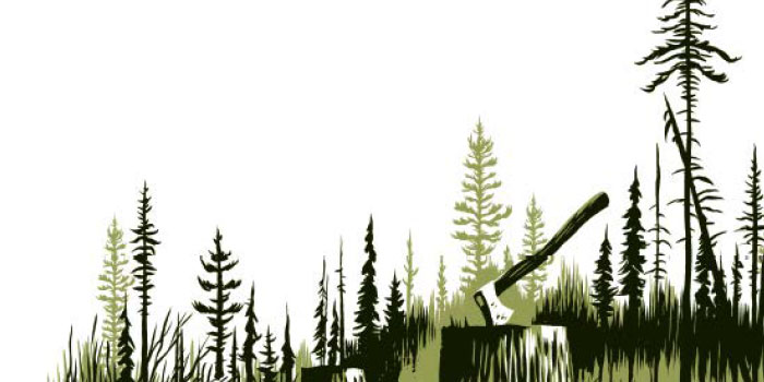 In the Pines: 5 Murder Ballads Graphic Novel Review
