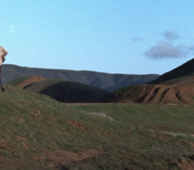 Harold and Maude ending